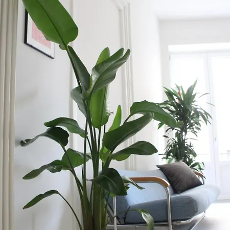 Casa 3 Cupole, Historic Soul And Contemporary Design